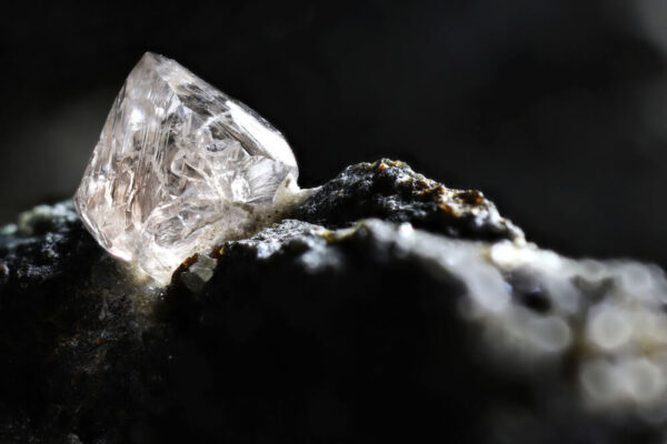 Memorial Diamonds And How Much Do Memorial Diamonds Cost Going Home 