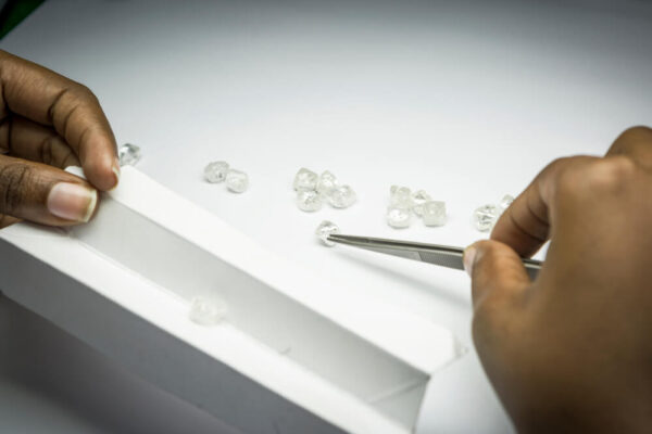 Memorial Diamonds And How Much Do Memorial Diamonds Cost Going Home 